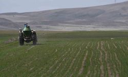 Mevsim yağmurları öncesi çiftçiler gübre mesaisine başladı