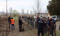 Meyve fidanı satışı 30 Mart'ta yapılacak