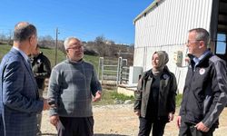 Müdür Ayvalık, üreticilerle tarım ve hayvancılığı inceledi