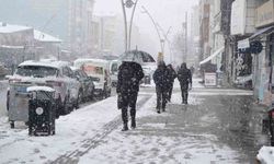 Muş'ta 40 köy yolu kapandı, mahsur kalan hasta kurtarıldı