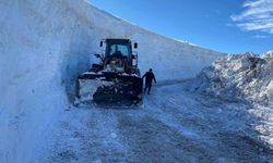 Muş'ta kapanan tüm köy yolları ulaşıma açıldı