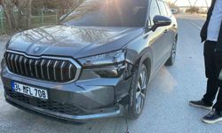 Muş'ta yolun karşısına geçen köpeğe otomobil çarptı