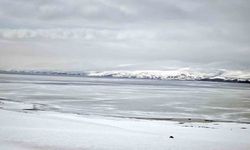 Nazik Gölü'nde buzların çözülmesi bu yıl gecikti