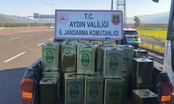 Nazilli'de 1 milyon TL değerinde taklit zeytinyağı ele geçirildi