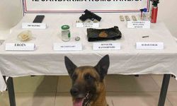 Nevşehir'de uyuşturucu operasyonu: 1 şüpheli yakalandı