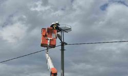 Ölüm hattıydı, yuvalara dönüştü: Bini aştı