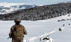 Ordu'da jandarmadan çığda arama kurtarma tatbikatı