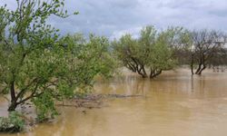Sağanak yağış Menderes Nehri'ni taşırdı