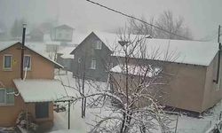 Sakarya'nın yüksek kesimleri beyaz örtüyle kaplandı