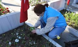 Samsun'da şehit mezarlarının bakım ve temizliği için seferberlik başlatıldı
