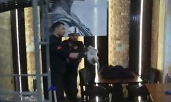 Şanlıurfa'da havalandırma boşluğunda mahsur kalan kedi kurtarıldı