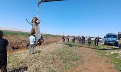 Şanlıurfa'da tahliye kanalına devrilen otomobilin sürücüsü yaralandı