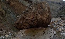 Sason'da yamaçtan düşen kaya, köy yolunu ulaşıma kapattı