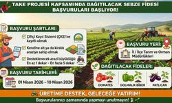 Siirt Tarım ve Orman Müdürlüğünden sebze fidesi başvurusu uyarısı