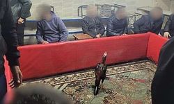 Siirt'te horoz dövüşüne suçüstü operasyon: 60 kişi yakalandı