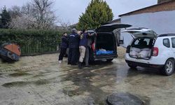 Silivri'de satışa hazır 306 at eti yakalandı