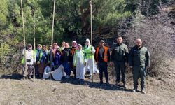 Sinop ormanlarında zararlılara karşı biyolojik savaş