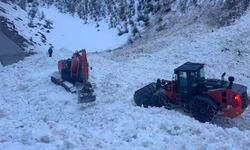 Şırnak'ta ekipler, çığ nedeni ile kapanan köy yolunu açmak için seferber oldu