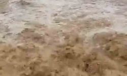 Siverek'te sağanak yağış sele neden oldu