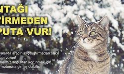 Soğuktan korunmak için girdiği araçta sıkışan kedi kurtarıldı