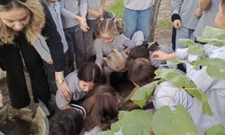 Söke'de Orman Haftası'nda fidanlar gelecek için toprakla buluştu