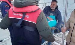 Su ürünleri denetimi gerçekleştirildi