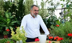 Süs bitkileri üretimi Kestel Belediyesi ile dünya pazarına açılıyor