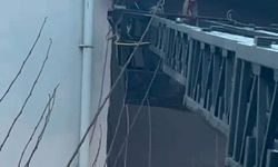 Takıldığı ipte asılı kalan güvercin kurtarıldı