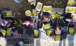 Tarım-ÜFE yıllık yüzde 40,10 arttı