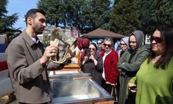 Tarımsal atıkların sanatsal kağıda dönüşüm yolculuğu