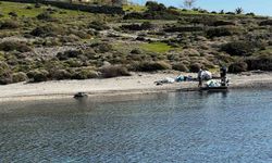 Tilkişen otu toplamaya gittiler, koyu temizlediler