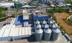 Türkiye'nin yeni ekmeği Konya'da geliştirildi