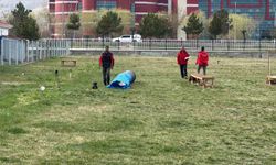 Uluslararası düzeyde alan ve enkaz arama köpekleri sınavı Afyonkarahisar'da başladı