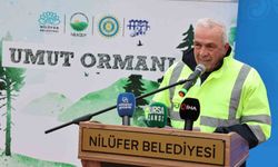 Unçukuru Mahallesi'nde atıl arazi Umut Ormanı'na dönüşüyor