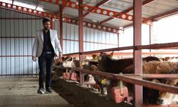 Üniversiteyi yarıda bıraktı, dede mesleğini ileriye taşımaya başladı