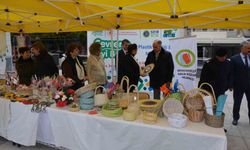 Vali Özkan atık pil teslim etti, zeytin fidanı aldı