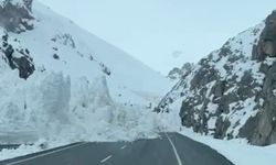 Van-Hakkari karayoluna çığ düştü