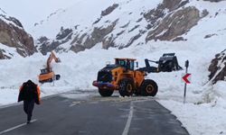 Van-Hakkari karayolunda çığ: Çok sayıda araç mahsur kaldı