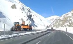 Van-Hakkari yolu yeniden ulaşıma açıldı