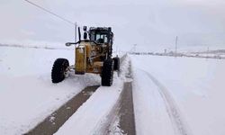 Van'da 216 yerleşim yerinin yolu kapandı