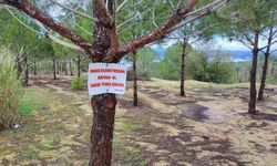 Vatandaşın ağaca astığı 'Tabiat temiz kalsın' uyarısı yetmedi