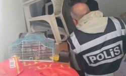 Yabancı turistlerin kredi kartlarını kötü amaçlı kullanan 4 şüpheli yakalandı