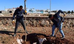 Yukarıgöklü Kent Parkı yeşile bürünüyor