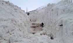 Yüksekova'da çığ meyve bahçelerini yuttu: Köy yolu kar tünelleriyle açılıyor