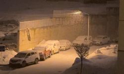 Yüksekova'da kar yağışı etkili oldu
