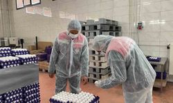 Yumurta paketlemesi yapan işletmelere yönelik denetim