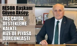 Aksoy: "Destekleme kalktı tüm şehir ekonomisini etkiledi"