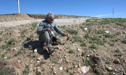 17 yeni memeli türü keşfedildi