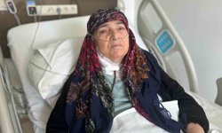 20 yıllık tümör Van'da yapılan ameliyatla alındı