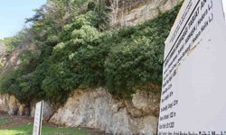 4 bin yıllık sarmaşığın gölgesinde baharı karşıladılar